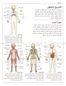 When your Child Gets Sick عندما يمرض طفلك