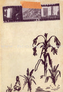 Memoirs of the Rice Village مذكرات قرية الأرز