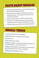 Sadiq Stories (Set of 8 Books)