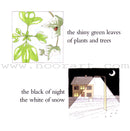 Allah Gave Me Two Eyes to See...