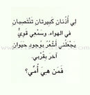 Baby Animal Series (8 Books) سلسلة صغار الحيوانات