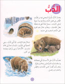 Animal's World series (Set of 6 books) سلسلة عالم الحيوانات