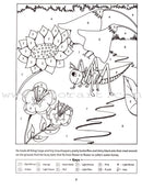 Quran and Sirah Story Mazes Gift Box (5 Books)