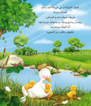 Buds Series (4 books, with DVD) سلسلة البراعم