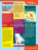 Awesome Quran Questions and Answers (Paperback)