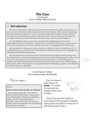 The Meaning of the Holy Qur'an for School Children