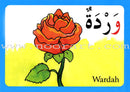 Arabic Alphabet Flash Cards