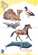 Play with Pictures and Letters Textbook: Pre-KG Level العب مع الصور و الحروف