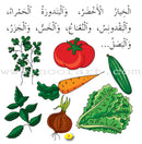 Lots of Colors Series (Set of 8 Books) سلسلة ألوان ألوان