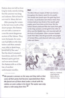 Ibn Battuta: The Journey of a Medieval Muslim