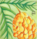 My Environment,Life Cycle Series سلسلة دورة الحياة , بيئتي