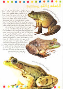 Encyclopedia of knowledge for young people  (My giant book ,Set of 25 Books) موسوعة المعرفة للناشئة  ,كتابي العملاق