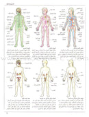 When your Child Gets Sick عندما يمرض طفلك