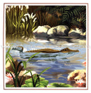 The Reading and Science Club: Level 2 (8 Books) نادي القراءة و العُلوم