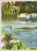 Reading Program in the Arabic Language: Level 3 (Set of 12 books) برنامج القراءة في اللغة العربية