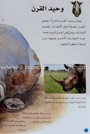 Learning Ladders (Set of 10 Books) سلالم التعلم