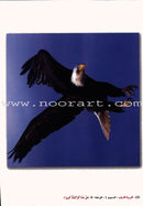 Arabic for Youth Teacher Case : Level 1 العربية للشباب حقيبة المعلم