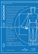 Safar Islamic Studies Textbook: Level 6