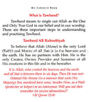 My Tawheed Book