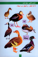 The Fun Letters: Level KG, Part 1 الحروف الممتعة