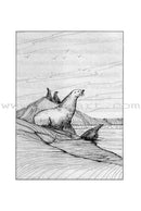 Amana Reading Series: Grade 1 (6 Books)