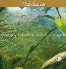 The Reading Club: Science (3 Books) نادي القراءة  - العُلوم