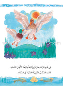 The Useful Reading Series: Level 5 (Set of 4 Books) سلسلة المطالعة المفيدة: المستوى الخامس