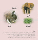 The Reading Club: Science (3 Books) نادي القراءة  - العُلوم