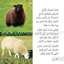 Let's Read and Discover Series (set of 5 books) سلسلة  هيا نقرأ ونكتشف