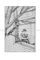 Amana Reading Series