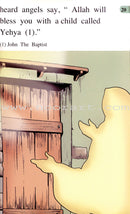 Maryam the daughter Of Imran (Set of 4 Books)