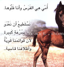 Baby Animal Series (8 Books) سلسلة صغار الحيوانات