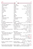 Al-Mawrid Trilingual Dictionary English-Arabic-French