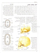 When your Child Gets Sick عندما يمرض طفلك