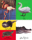 First 100 Illustrated Words About Animals أول 100 كلمة مصورة ومسلية عن الحيوانات