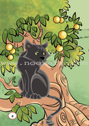 ICO Arabic Stories Box 4 (4 Stories, with 4 CDs) صندوق القصص التربوية