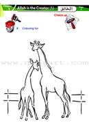 Islamic Studies (Set of 12 Books)