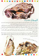 Encyclopedia of knowledge for young people  (My giant book ,Set of 25 Books) موسوعة المعرفة للناشئة  ,كتابي العملاق