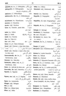 Diccionario Español-Francés-Árabe (Dictionary Spanish-French-Arabic) قاموس