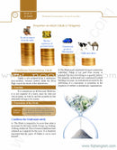 Illustrated Jurisprudence of acts of worship: Simplifying and Teaching the Rules of Islam  (Hardcover)