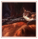 The Reading and Science Club: Level 2 (8 Books) نادي القراءة و العُلوم