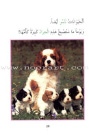 Read About Series (8 Books) سلسلة اقرأ عن