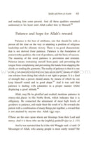 Salah ad-Din al-Ayubi (2 Volume Set)