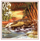 The Reading and Science Club: Level 2 (8 Books) نادي القراءة و العُلوم