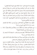 Mystery of Falcon's Eye لغز عين الصقر