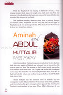 Islam: A Total Beginner's Guide (3-part set)