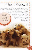 Useful Reading Series (Set of 7 Books) سلسلة القراء المفيدة