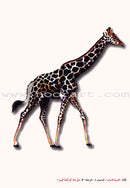 Arabic for Youth Teacher Case : Level 1 العربية للشباب حقيبة المعلم