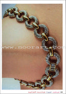 Arabic for Youth Teacher's Case: Level 2 العربية للشباب حقيبة المعلم