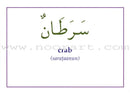 Gateway to Arabic Flashcards: Level 4